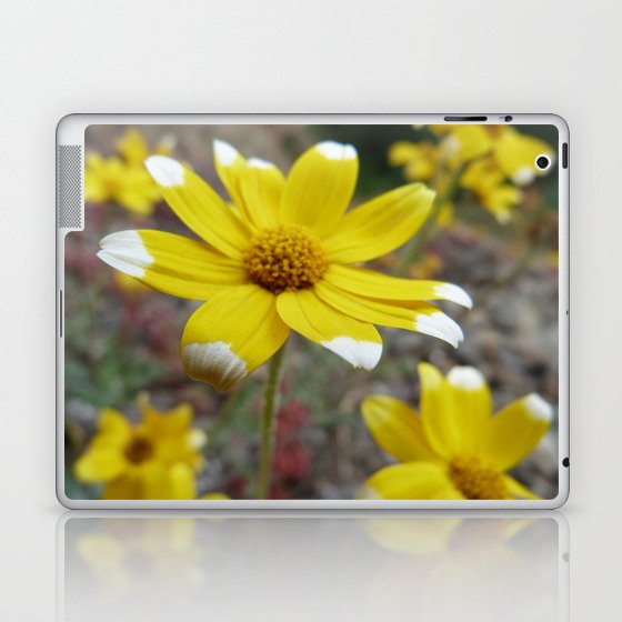 Oregon Sunshine Wildflower Sunflower Pacific Northwest Oregon Yellow Flowers Laptop & iPad Skin