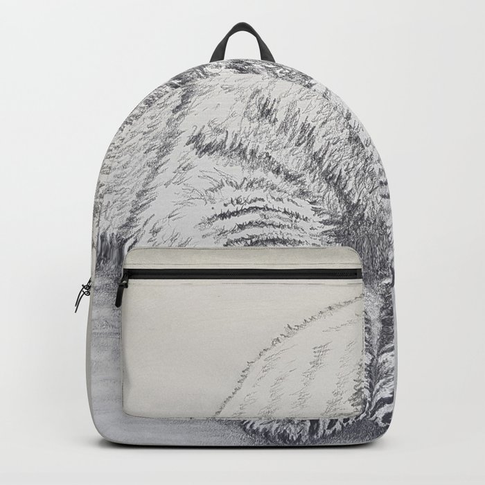 polar backpacks