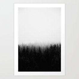 Forest Black and white Photo Art Print