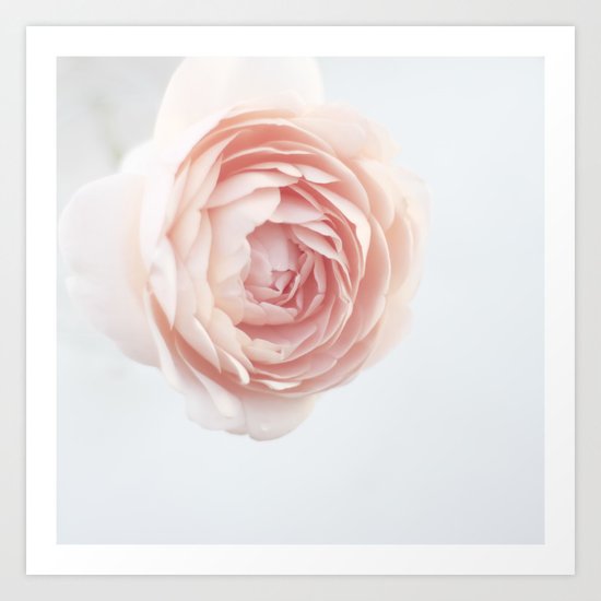 Rosey outlook Art Print