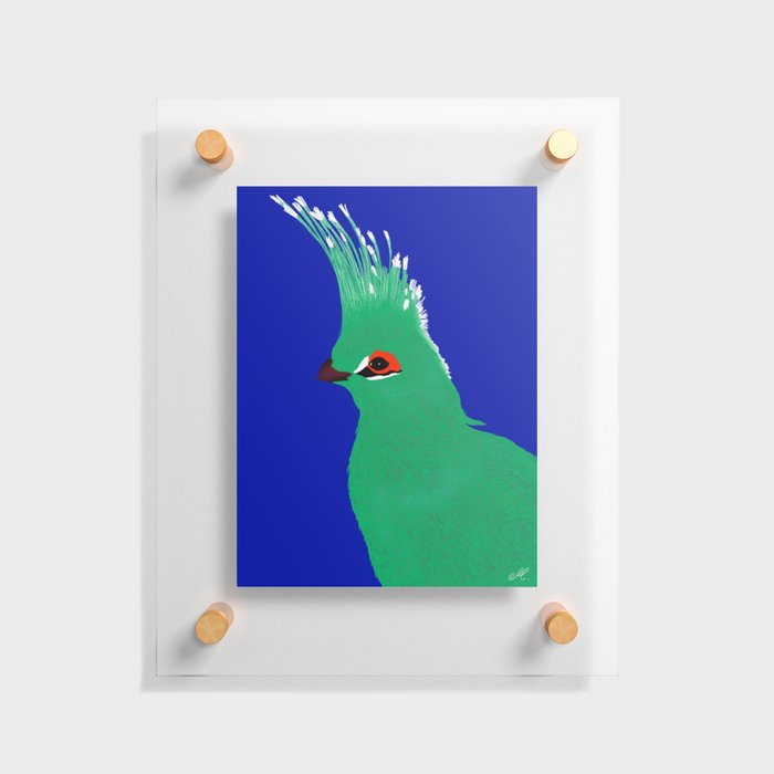 Turako blue and green Floating Acrylic Print
