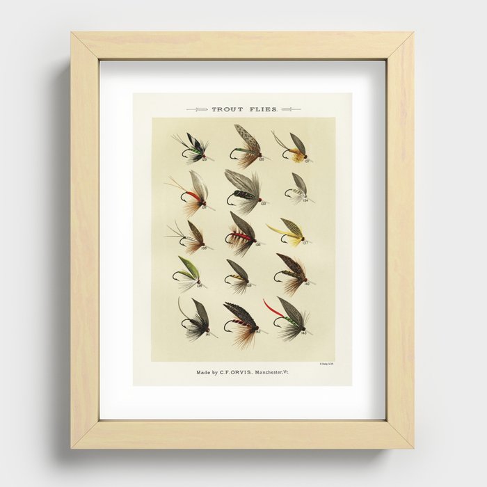 Vintage Fly Fishing Print - Trout Flies Recessed Framed Print by