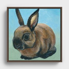 Bunny Framed Canvas