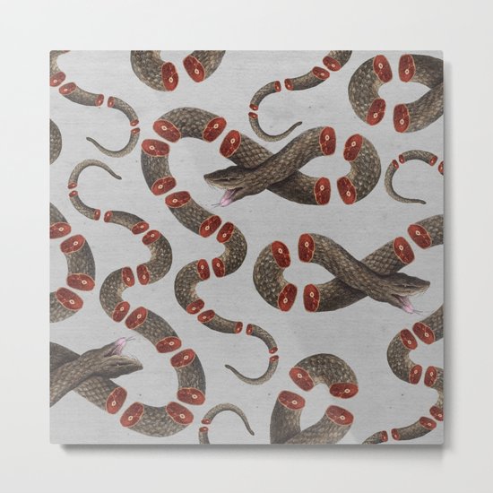 Snake IV Metal Print