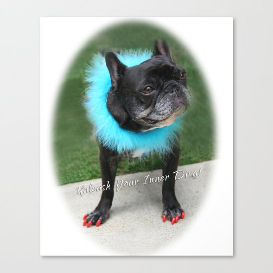 Diva Dog Canvas Print