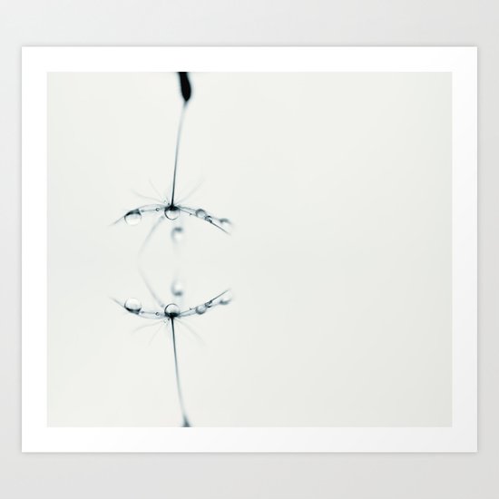 dandelion Art Print