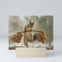 Squirrel the nut carrier Mini Art Print