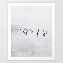 SEABIRDS Art Print