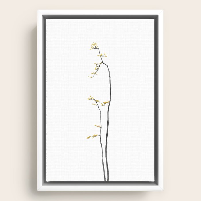 Framed Canvas