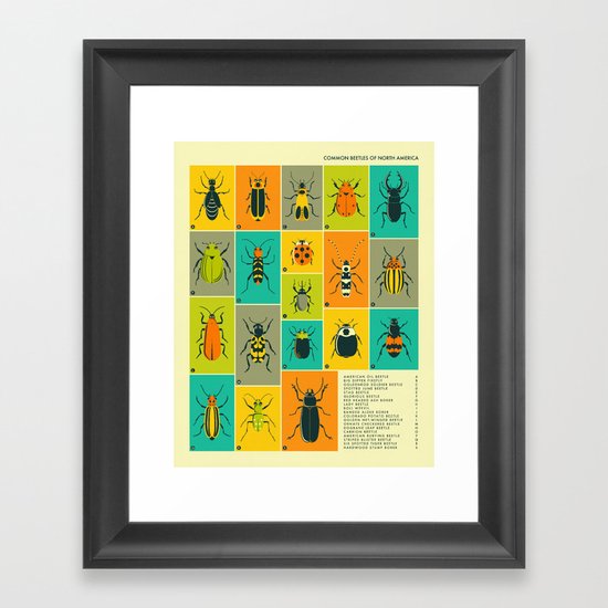 COMMON BEETLES OF NORTH AMERICA Framed Art Print