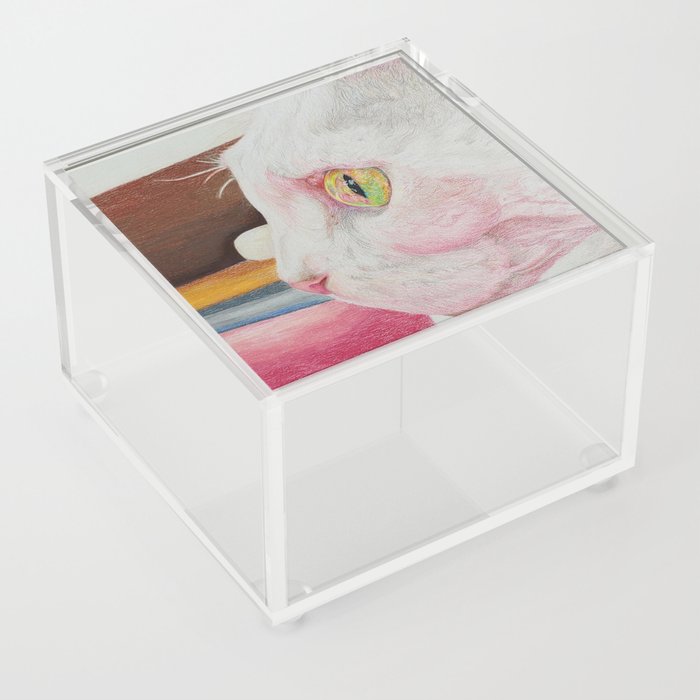 Rosy Vision Acrylic Box