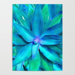 Blue Agave - Colorful Succulent Plant Art Poster