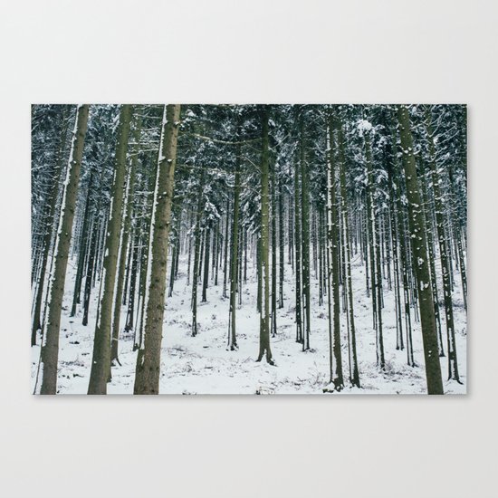Winter Forest Treescape Canvas Print