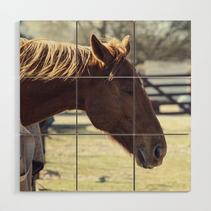 Serenity in the Stable: Captivating Photo of a Horse at Peace – Eyes Closed, Mane Dancing in Breeze Wood Wall Art