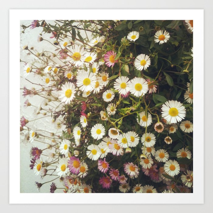 Society6 ケース A Bunch of Daisies by Cassia Beck Wall of Daisies Art Print by Cassia Beck | Society6