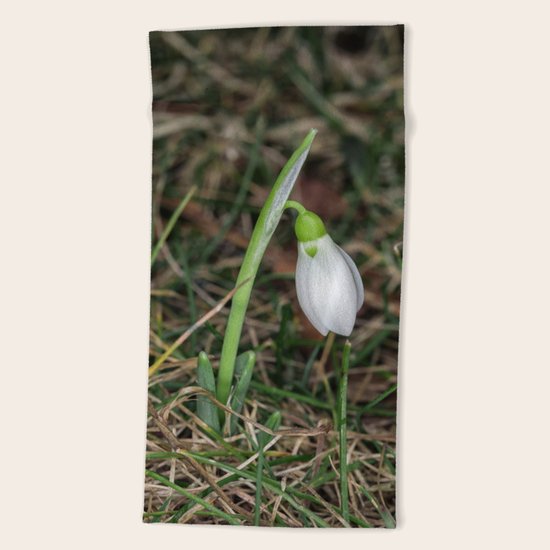 Snowdrop Beach Towel