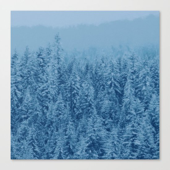 Giant forest Canvas Print