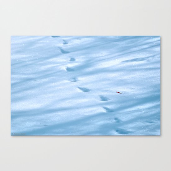 Snow Fall Feather Canvas Print