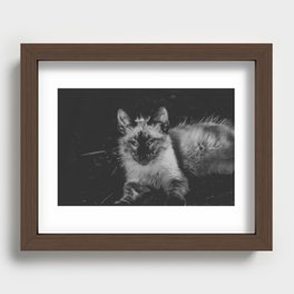 White Cat Recessed Framed Print