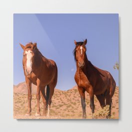 Wild Horses 3501 - Nevada Metal Print | Mare, Horse Photography, Southwest, Livefree, Wild Animal, Photo, Nature, Mustang, Stallion, Alaskan Momma Bear 