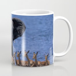 wildlife africa elephant duiker pygmy antelope run Coffee Mug