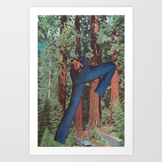 sequoia chic Art Print