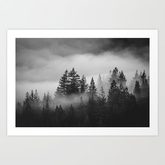 Forest of Fog Art Print