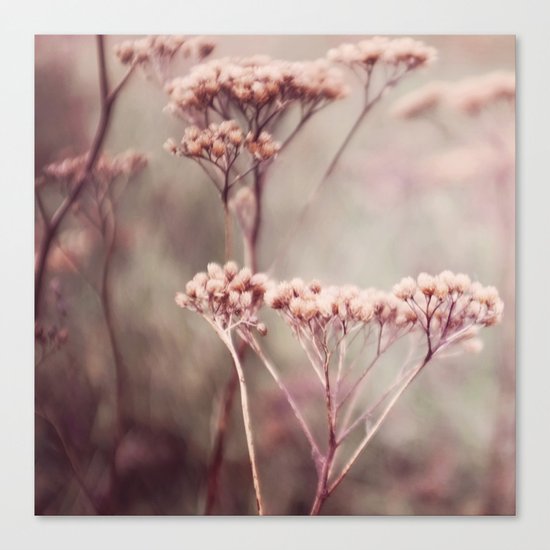 Pink Canvas Print