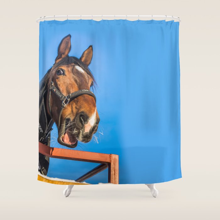 Laughing Horse Shower Curtain By Svetlanakorneliuk Society6 Laughing Horse Shower Curtain