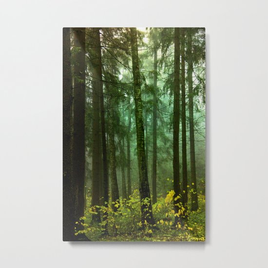Once upon a time... Metal Print