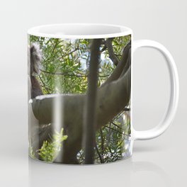 Koala Coffee Mug
