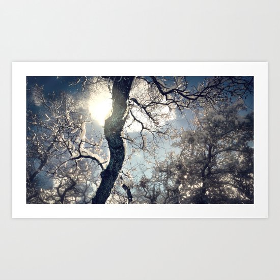 Morning Frost Art Print