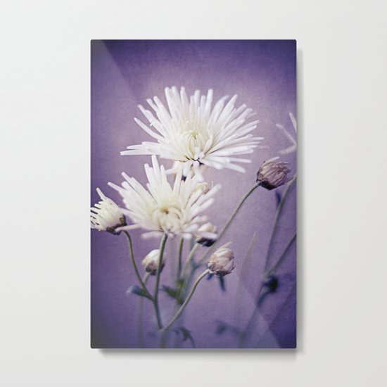 White on Purple Metal Print