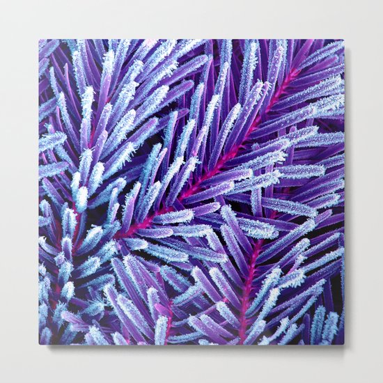purple winter II Metal Print