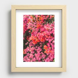 California Blooms Recessed Framed Print