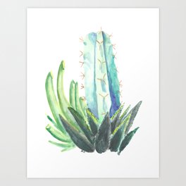 Three Succulents Art Print