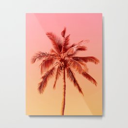 Palm beach Metal Print