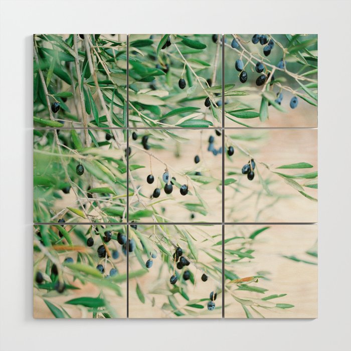 Olive branches in the Provence | French Riviera olive tree | Romantic travel photo art Wood Wall Art