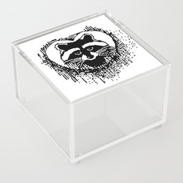 Pixel Little Raccoon Acrylic Box