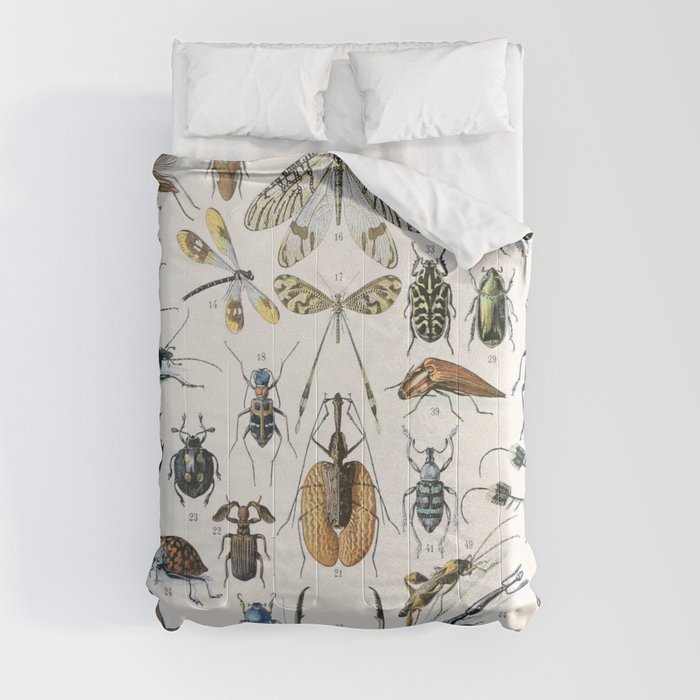 Insects 2 by Adolphe Millot Comforter