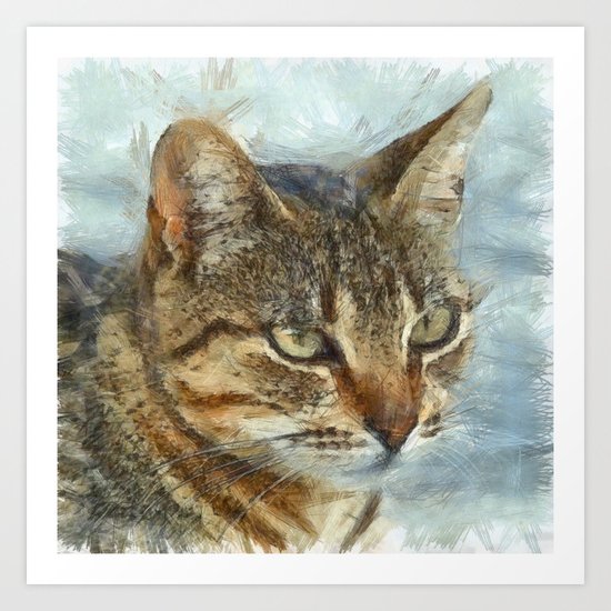 Stunning Tabby Cat Close Up Portrait Art Print