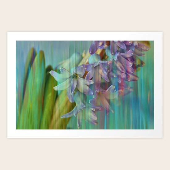 風信子 Art Print