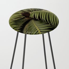 Dioon Spinulosum Tropical Palm Botanical Art Counter Stool