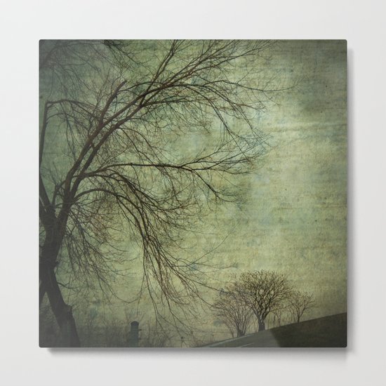 Mysterious Trees Metal Print