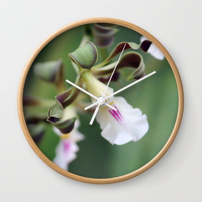 Monkey Orchide Wall Clock