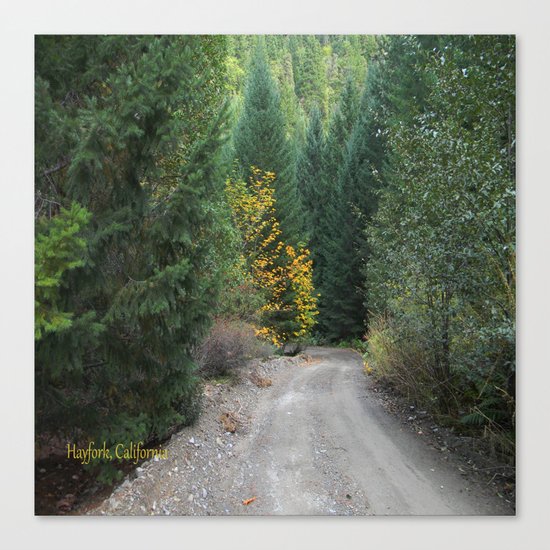 Dusty Dirty Road Canvas Print