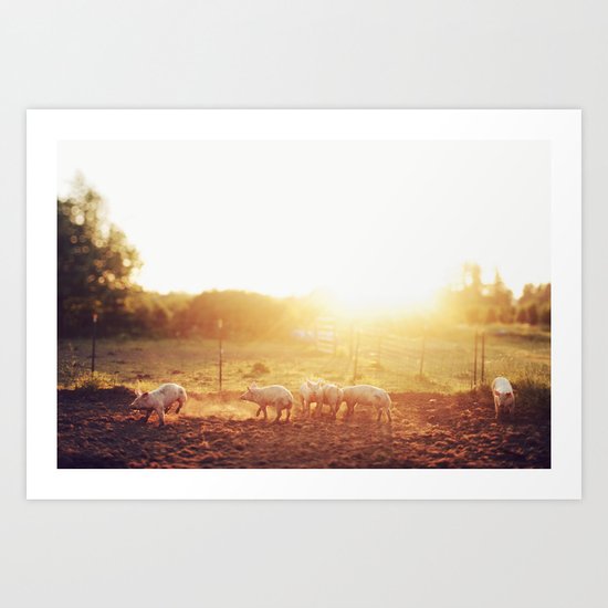Pig Dust Art Print