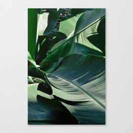 Lost in Green Canvas Print