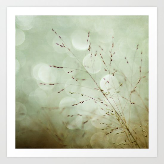 Delightful Dreams Art Print
