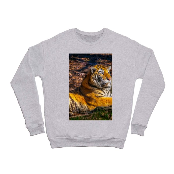 Tiger Wild Cat Wildlife Nature Tigers Print Crewneck Sweatshirt